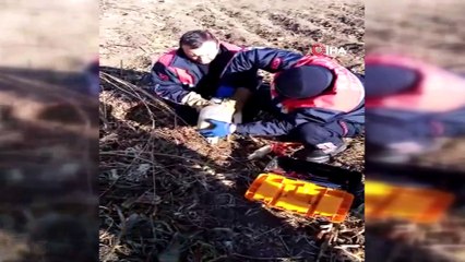 Başını bidona sıkıştıran köpeği itfaiye kurtardı