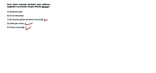 Sıradışı Analiz Yayınları TYT 5. Deneme Sınavı - Fen 19. Soru