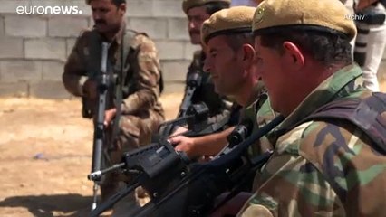 Бундесвер возобновил обучение курдов