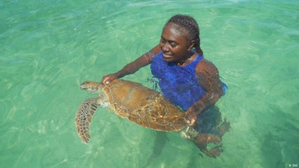 جزر سليمان: حماية السلاحف البحرية