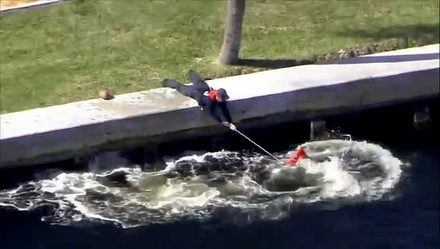 Intervention incroyable pour sauver un lamantin piégé dans un gilet de sauvetage