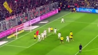 Dortmund vs Köln 5-1 All Goals & Extended Hіghlіghts _ HD_HD
