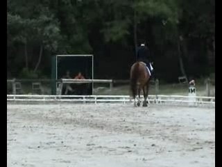 Grand Prix dressage Marco et Jean Francois Lagarde