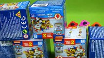 Lots of Paw Patrol Surprise Toys Blind Bags Series 2 Ryan's World Surprise Eggs Mix and Match Toys