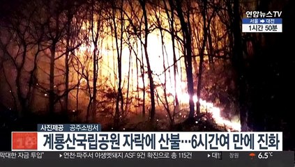 공주 계룡산국립공원 자락에 산불…6시간여 만에 진화