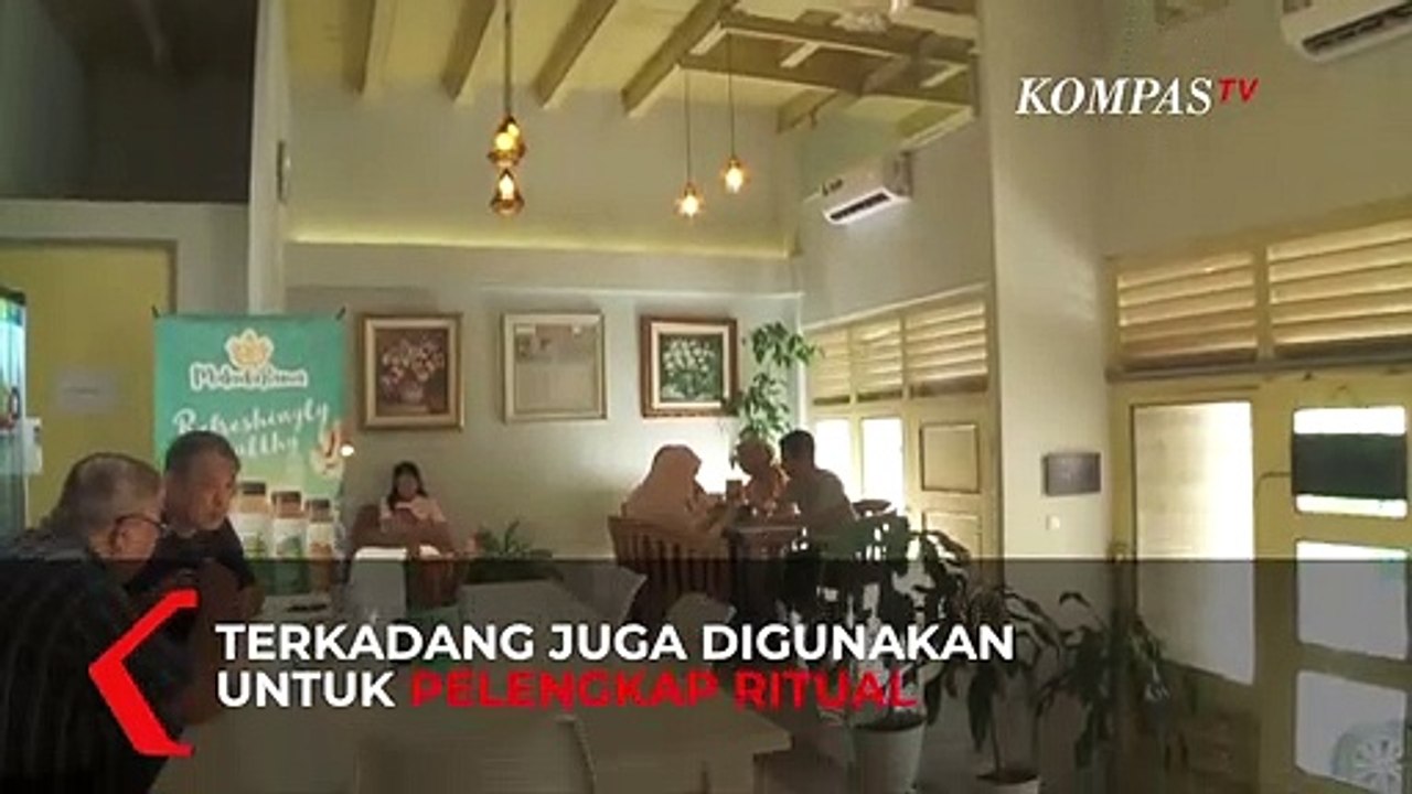 Unik, Es Krim Daun Kelor, Ternyata Bermanfaat Turunkan Kolesterol