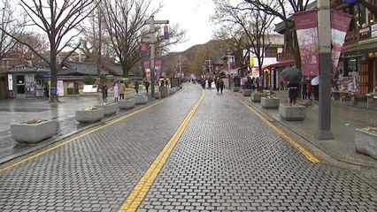 궂은 날씨·신종 코로나 탓에 휴일 나들이 인파 '뚝' / YTN