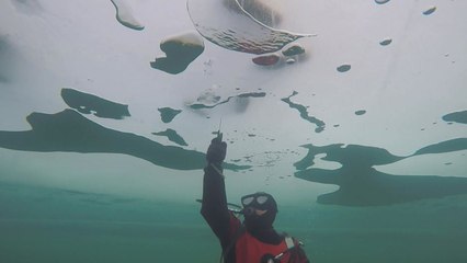 화천 산천어축제 개막...얼음 두께가 변수 / YTN