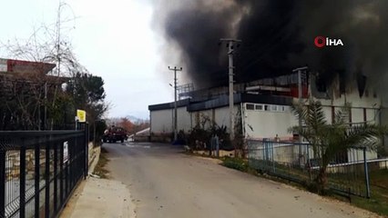 Sebze meyve deposunda korkutan yangın