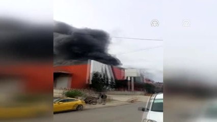 Antalya'da narenciye işleme tesisinde yangın