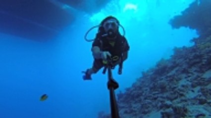 El pulmón que permite respirar bajo el agua