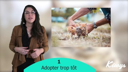 Adopter un chat : les erreurs à ne pas faire !