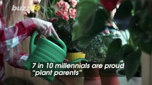 Millennials Say Being ‘Plant Parents’ Helps Them Take Better Care of Themselves
