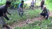 Capture d'un cobra royal de plus de 3m à Bali... Mission dangereuse