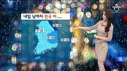 [날씨]내일 낮까지 전국 ‘비’…강원 산지 ‘폭설 주의’