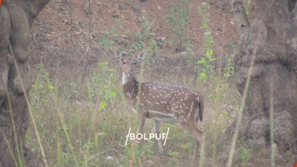 "BOLPUR" Top 9 Tourist Places | Bolpur Tourism | WEST BENGAL | INDIA