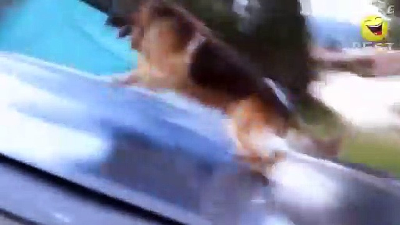 Very_funny_videos_that_make_you_laugh_and_cry_Funniest_Video
