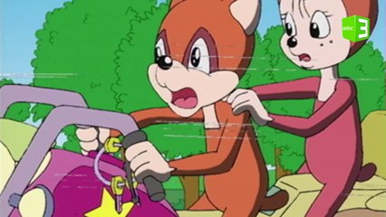 أين ذهبت الدراجة؟    