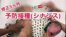 【修正5ヵ月】予防接種〜シナジス5回目〜
