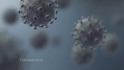 Coronavirus questions answered