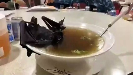 La soupe à la chauve-souris est-elle vraiment responsable du coronavirus?