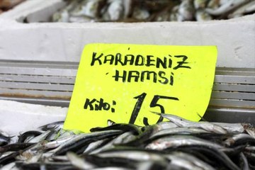 Havaların ısınmasıyla hamsinin fiyatı yüzde 25 düştü