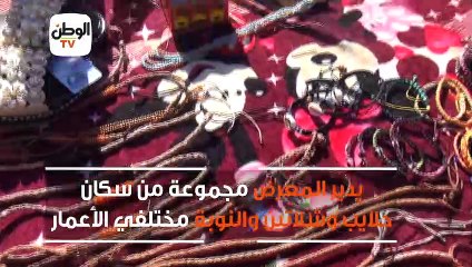 تنظيم معرض حلايب وشلاتين في القاهرة الدولي للكتاب