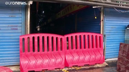 Coronavirus: la diffusione dell'epidemia, tre casi in Francia