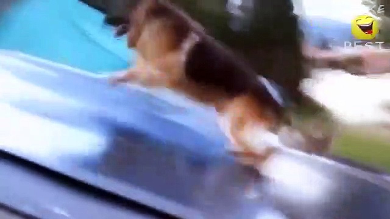 Very_funny_videos_that_make_you_laugh_and_cry_Funniest_Video_