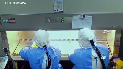 فرنسا تجلي رعاياها من معقل الفيروس القاتل