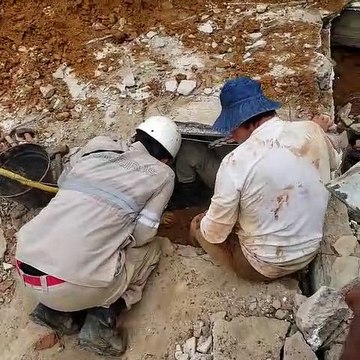 Cachorros são resgatados de casa que desabou em Colatina