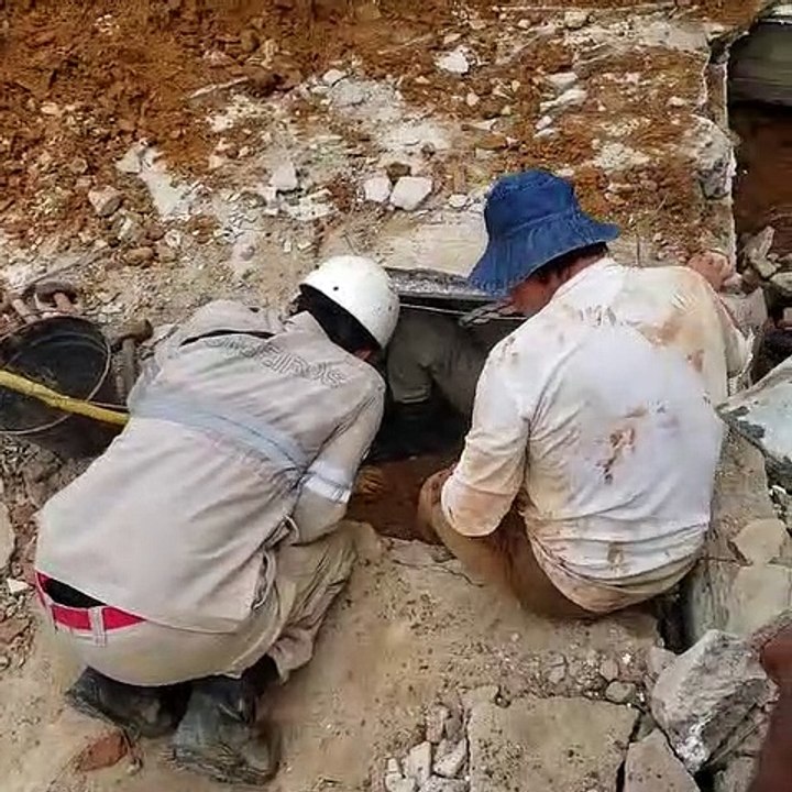 Cachorros são resgatados de casa que desabou em Colatina