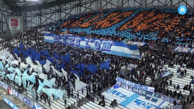 12e homme contre Angers (0-0)