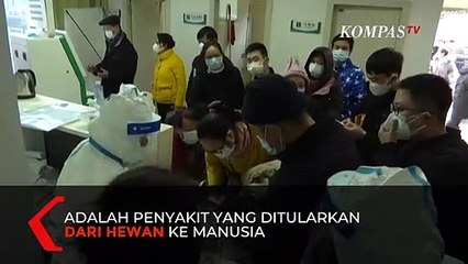 Apakah Virus Corona Dapat Diobati?