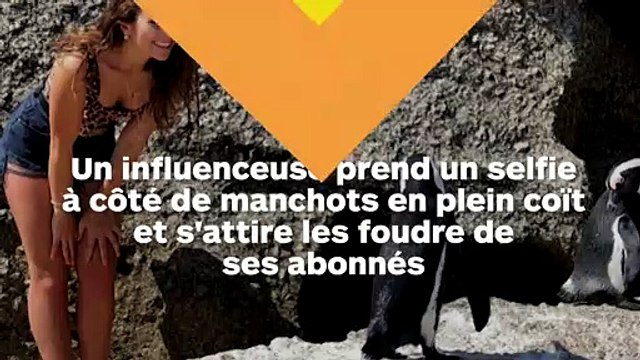 Une influenceuse prend un selfie à côté de manchots en plein acte