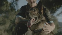 America's Top Dog: Police Dog Handlers Share Emotional K9 Stories Part 2