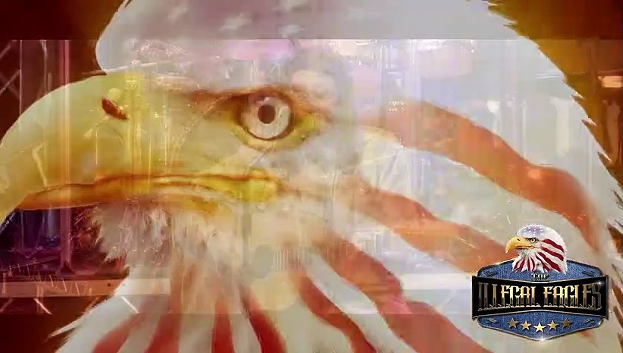 Illegal Eagles on tour 2020