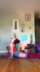 Yoga Poses for Beginners