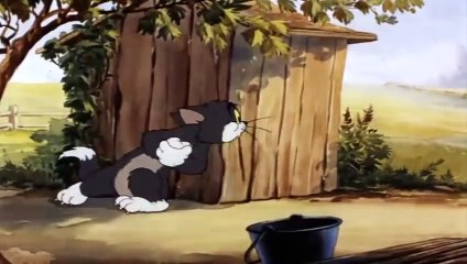 Tom and Jerry Litte Chicken children like very much