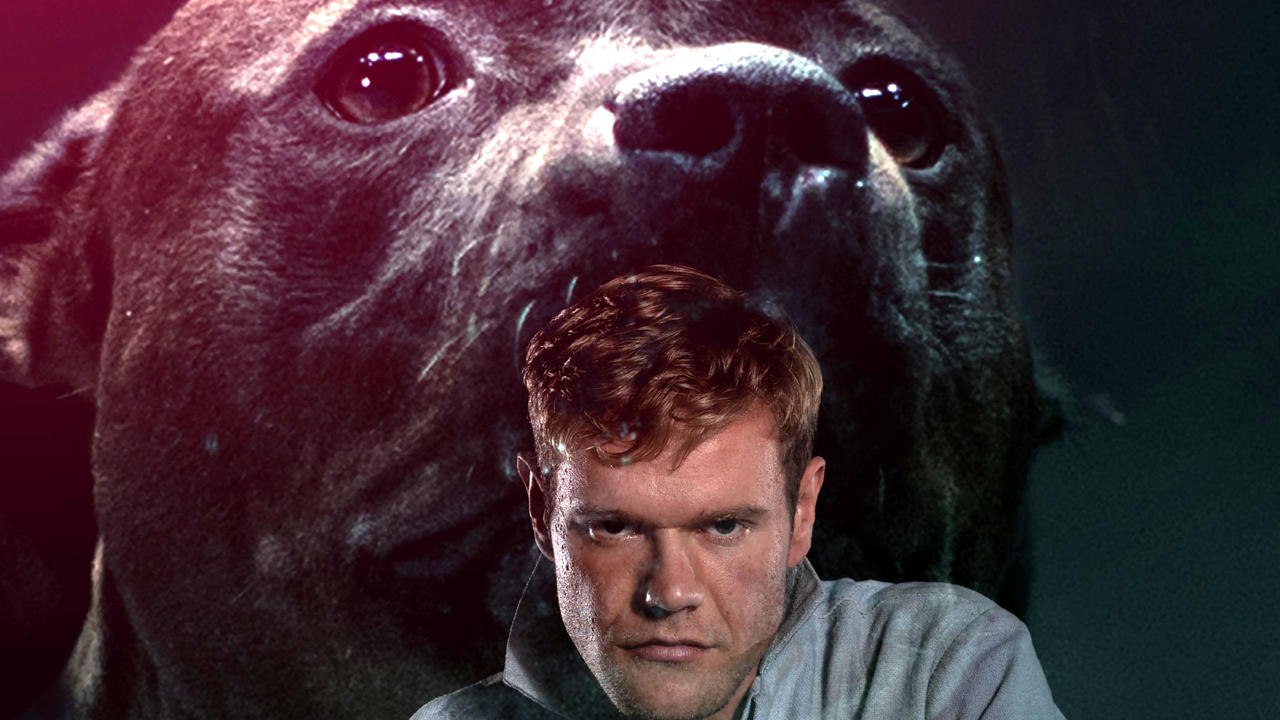 Die Rüden - Trailer (Deutsch) HD