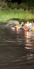 Guy Pushes Four-Wheeler Through the Pond