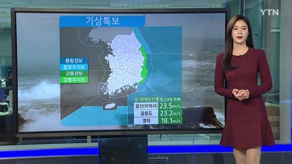 [날씨] 오늘 내륙 흐리고 포근...강원 산간 폭설 / YTN