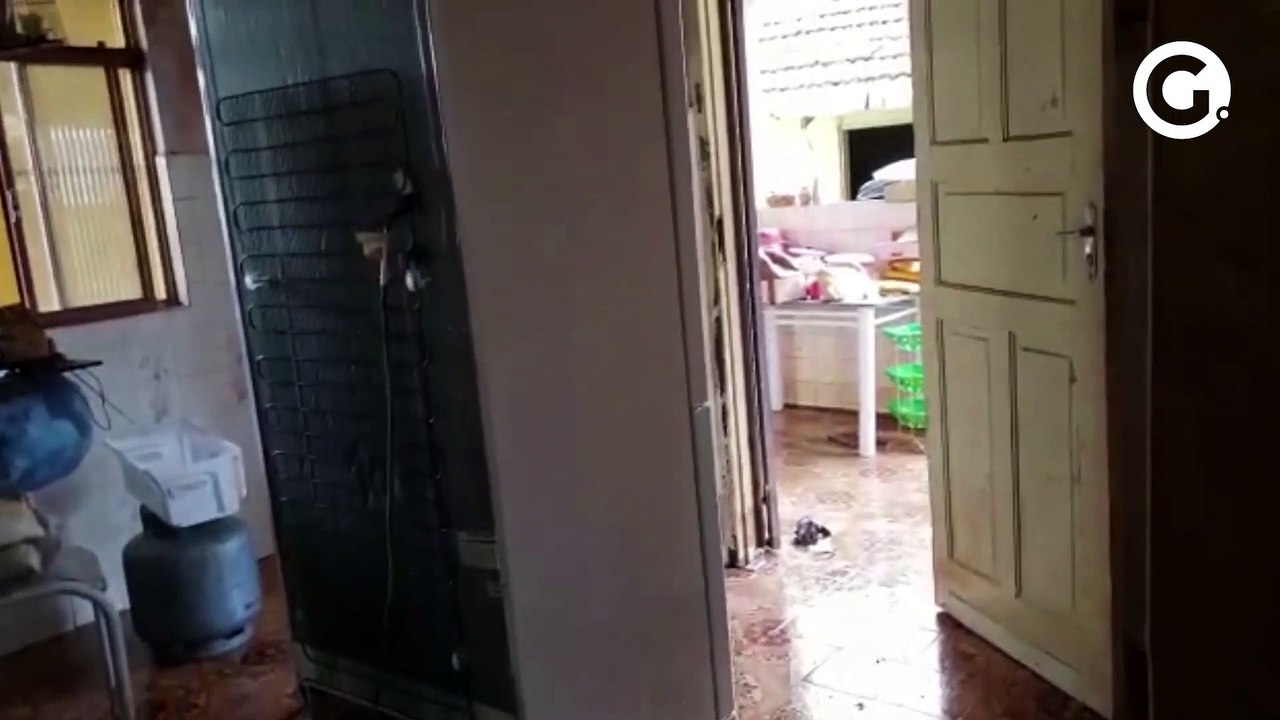 Pássaros morrem afogados durante enchente em Castelo