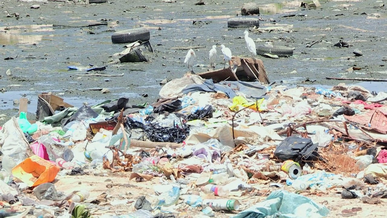 "Luanda Leaks" denuncia bairro de lata criado por Isabel dos Santos