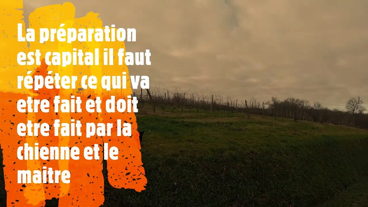Pixie et les relèves