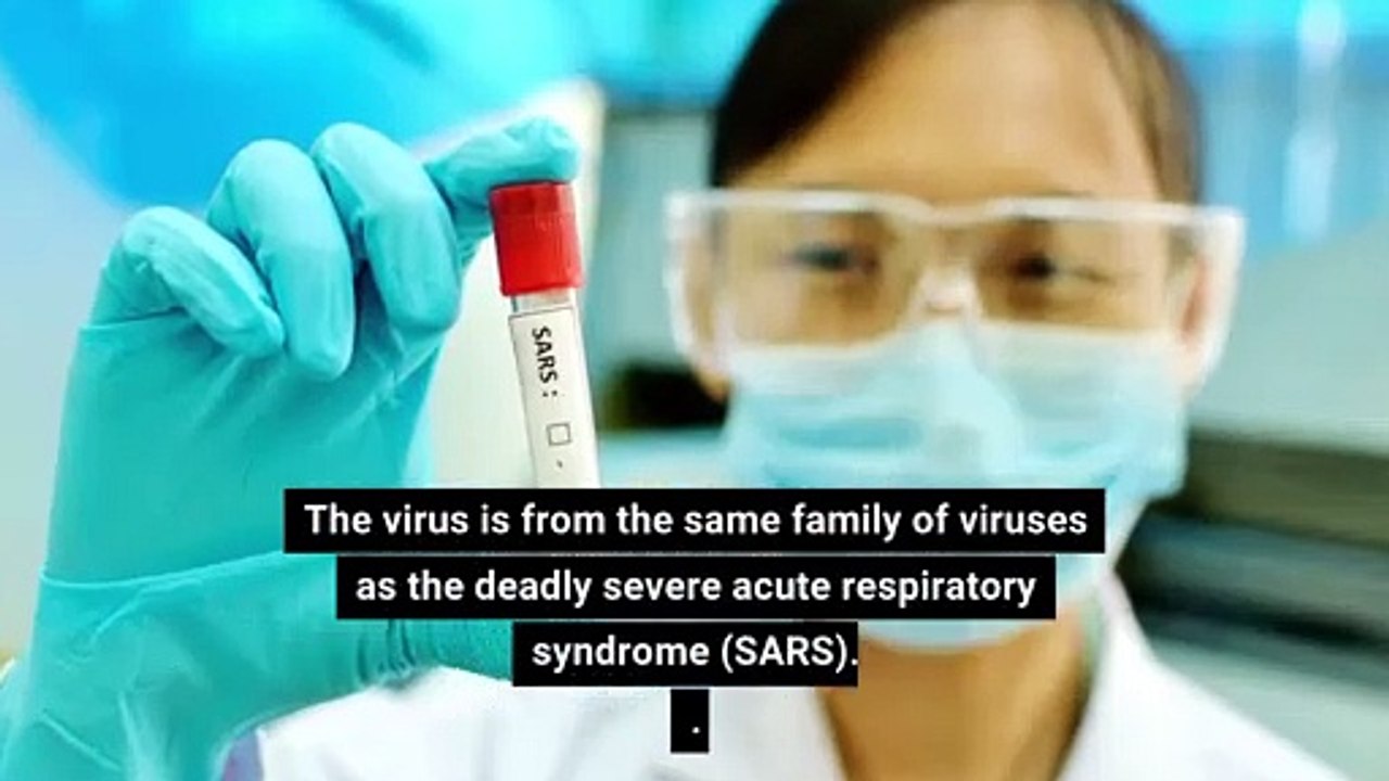 What is coronavirus- The SARS-like virus from China - video