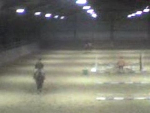 cso suite rênes allemandes