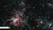 Space Telescope Captures Haunting View Of Tarantula Nebula