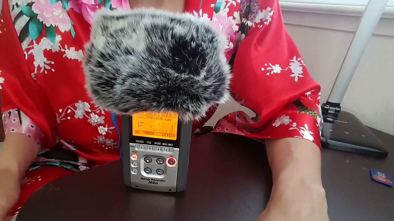 ASMR Microphone Brushing - Minimal Talking