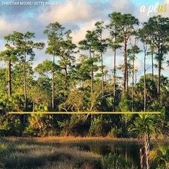 Florida Governor Just Bought And Protected The Everglades